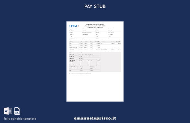 modello di busta paga Univo Education stile verificato
